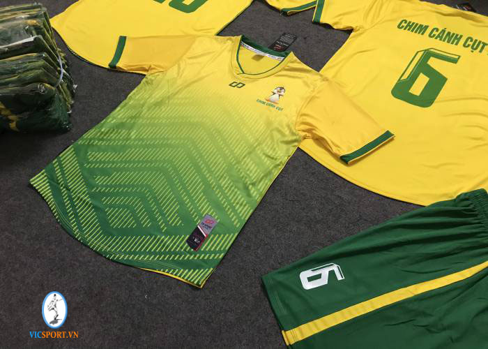 CHIM CÁNH CỤT FC - NĂM 2020 - Hình ảnh 6