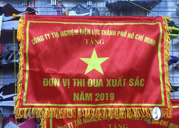 CỜ LƯU NIỆM 40X60 - Hình ảnh 3