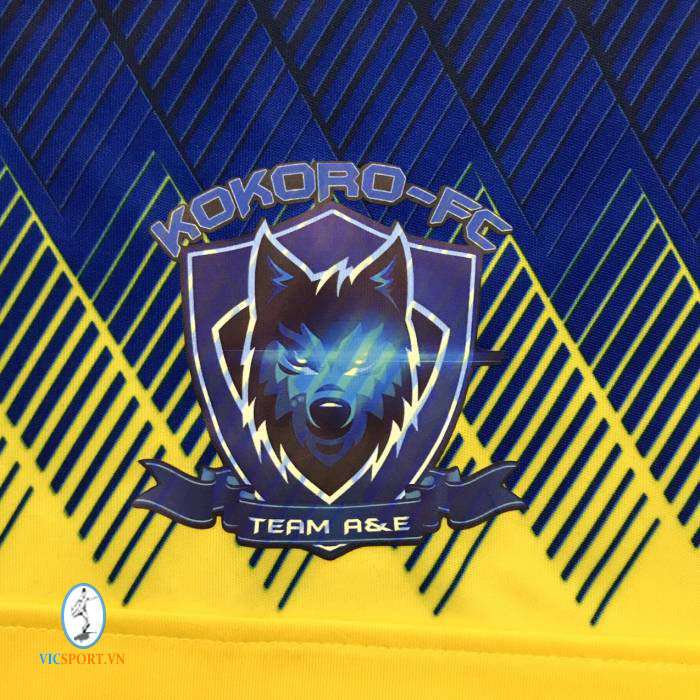 KOKORO FC - TEAM ANH EM TẠI NHẬT BẢN - Hình ảnh 2