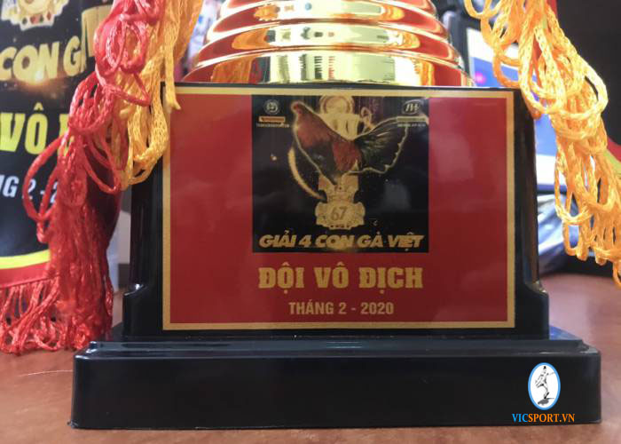 CỜ CÚP GIẢI 4 CON GÀ VIỆT THÁNG 2-2020 - Hình ảnh 6