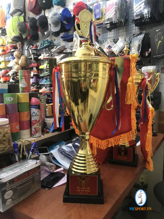 CỜ CÚP GIẢI DERBY BỐN CON GÀ VIỆT THÁNG 2-2020 - Hình ảnh 3