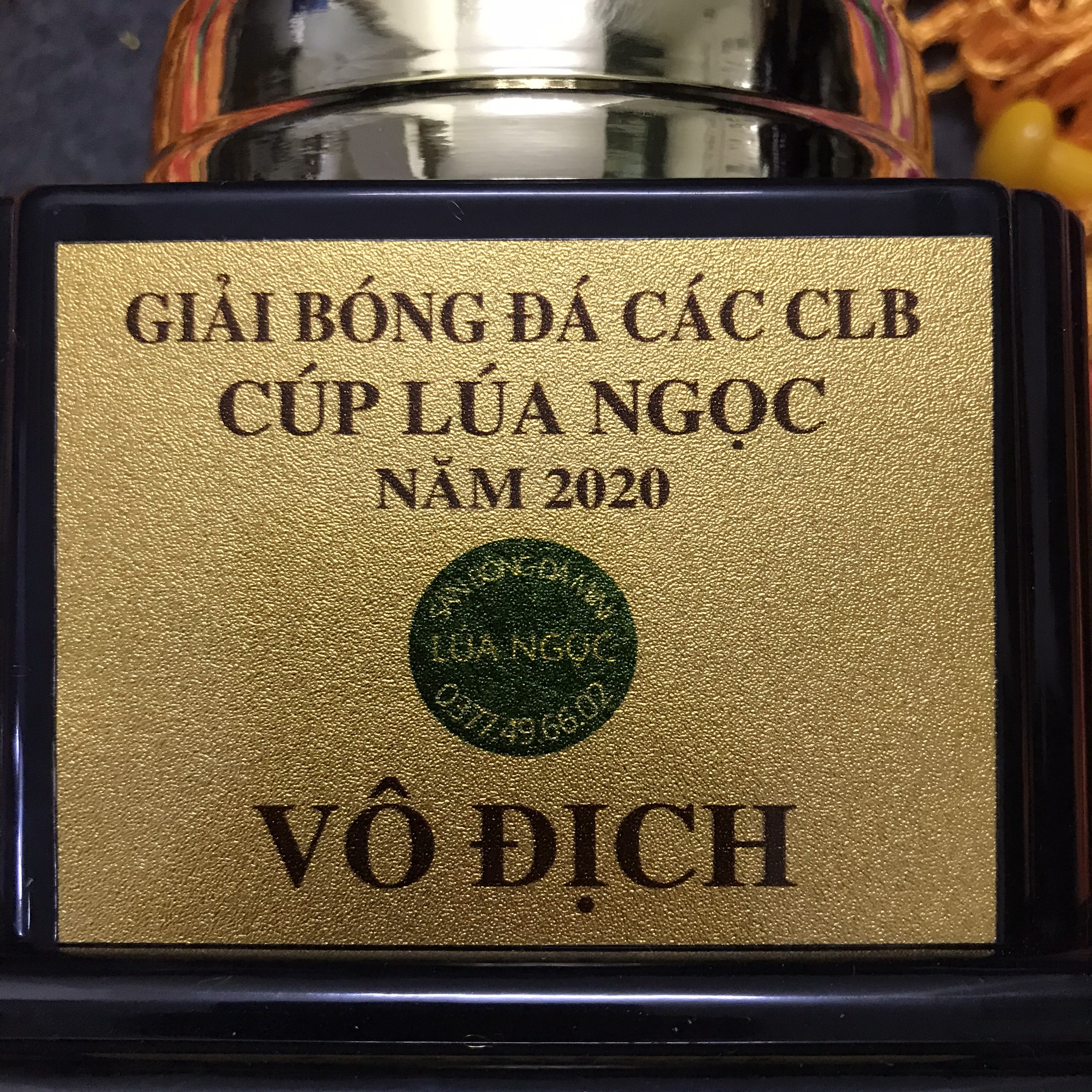CỜ CÚP LỬA NGỌC 2020 - BÌNH THUẬN - Hình ảnh 3
