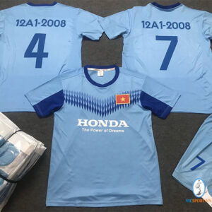 CỰU HS LỚP 12A8 - 2008