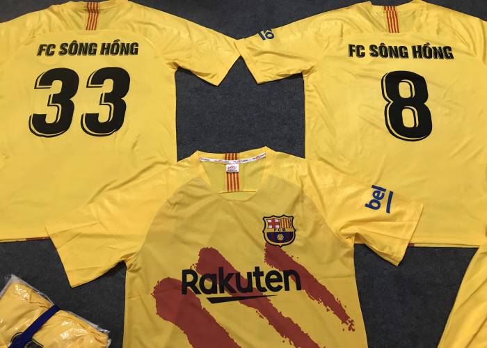 FC SÔNG HỒNG - Hình ảnh 2
