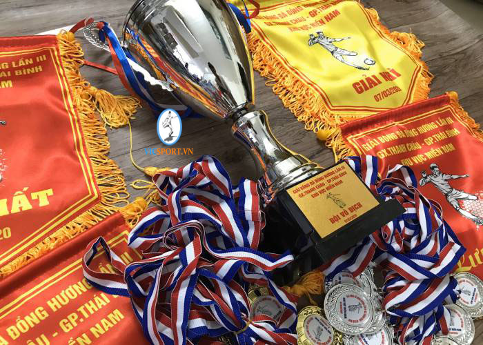 CỜ CÚP GIẢI ĐỒNG HƯƠNG MIỀN NAM - XỨ THANH CHÂU NĂM 2020 - Hình ảnh 4