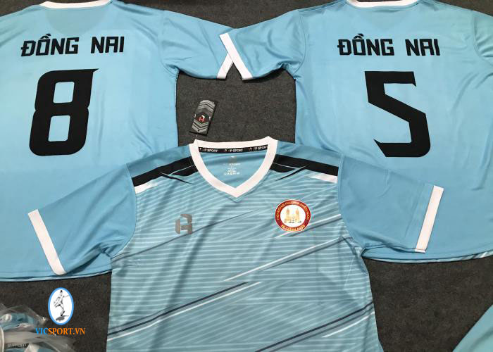 ĐỒNG NAI FC - XỨ THANH CHÂU - Hình ảnh 3