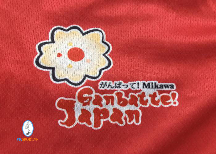 MIKAWA FC TẠI NHẬT BẢN - Hình ảnh 7