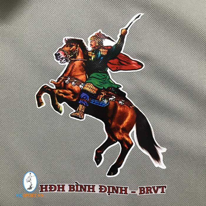 HỘI ĐỒNG HƯƠNG BÌNH ĐỊNH - BRVT - Hình ảnh 2