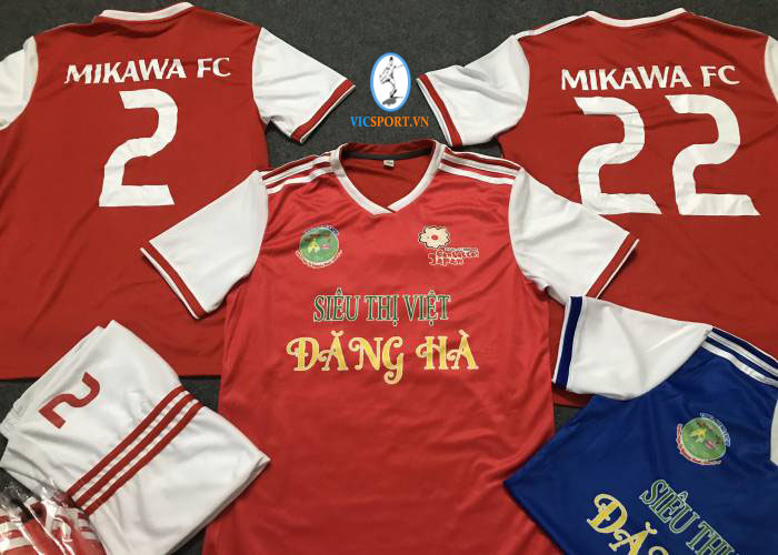 MIKAWA FC TẠI NHẬT BẢN - Hình ảnh 5