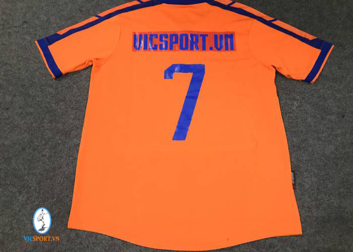 VICSPORT FC - Hình ảnh 2