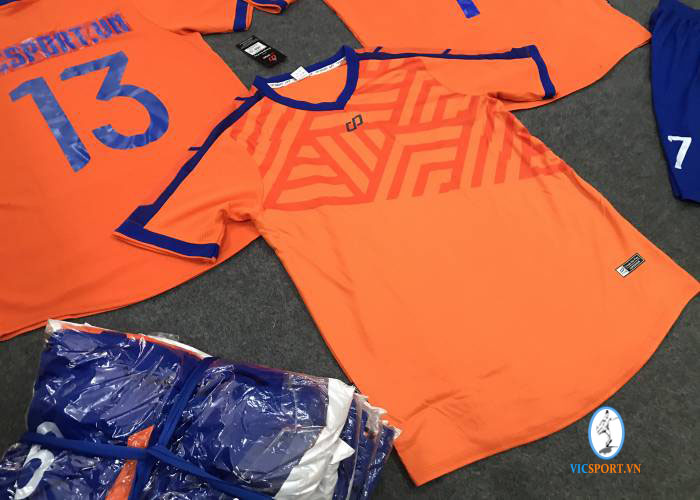 VICSPORT FC - Hình ảnh 5