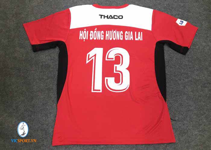 HỘI ĐỒNG HƯƠNG GIA LAI - KHÁNH HÒA - Hình ảnh 4