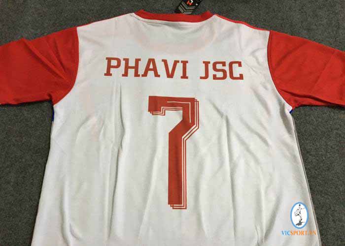 CÔNG TY PHAVI JSC - Hình ảnh 3