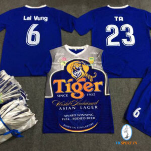 ĐỒNG THÁP FC - NHẬT BẢN