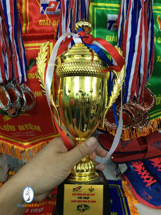 CỜ CÚP HUY CHƯƠNG GIẢI BĐ GÂY QUỸ TỪ THIỆN - Hình ảnh 9