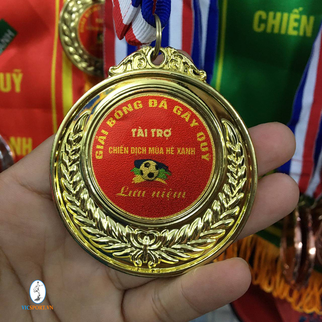 CỜ CÚP HUY CHƯƠNG GIẢI BĐ GÂY QUỸ TỪ THIỆN - Hình ảnh 2