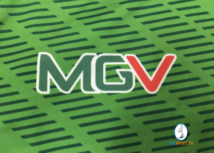 ĐỊA ỐC MGV - NĂM 2020 - Hình ảnh 2