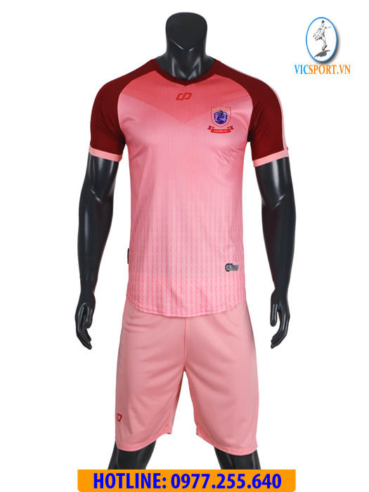 SUGUIRA FC TẠI NHẬT BẢN - VITAR HỒNG - Hình ảnh 10