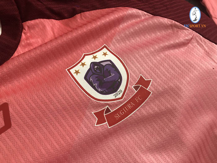 SUGUIRA FC TẠI NHẬT BẢN - VITAR HỒNG - Hình ảnh 2