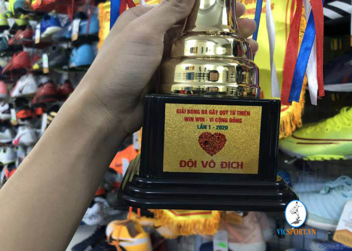 CỜ LƯU NIỆM GBĐ WIN WIN - Hình ảnh 3