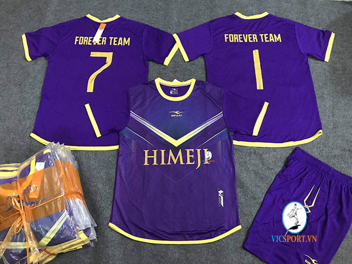 FOREVER TEAM - HIMEJI NHẬT BẢN - Hình ảnh 6