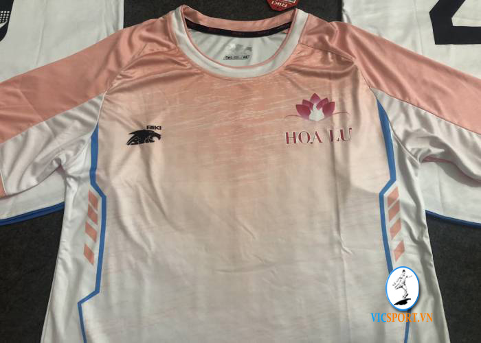 FC HOA LƯ - Hình ảnh 4