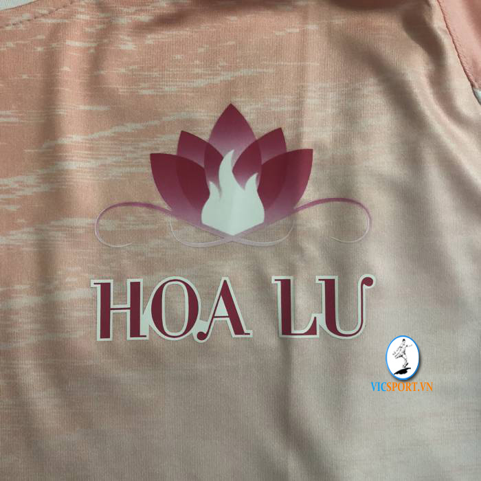 FC HOA LƯ - Hình ảnh 2