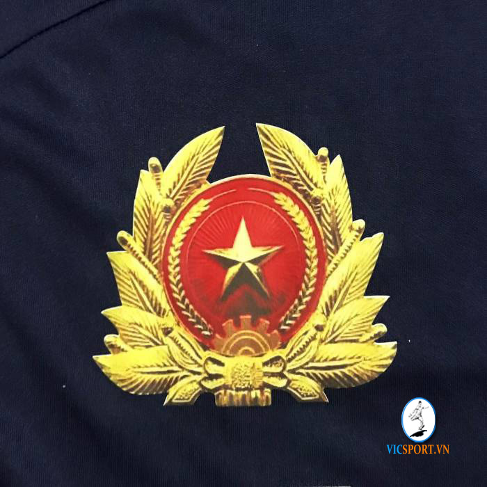 FC SƯ ĐOÀN 9 - Hình ảnh 2