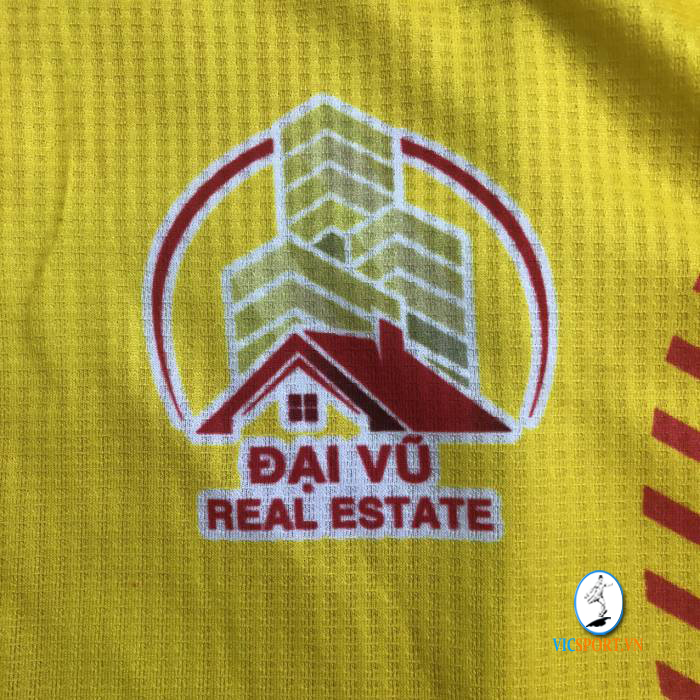 ĐẠI VŨ FC - 2020 - Hình ảnh 2