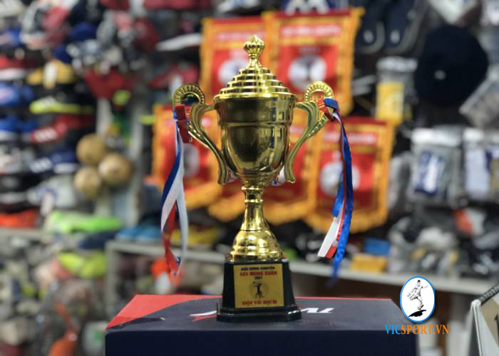 BỘ CỜ - CÚP - HUY CHƯƠNG GIẢI BÓNG CHUYỀN XUÂN 2021 - Hình ảnh 3