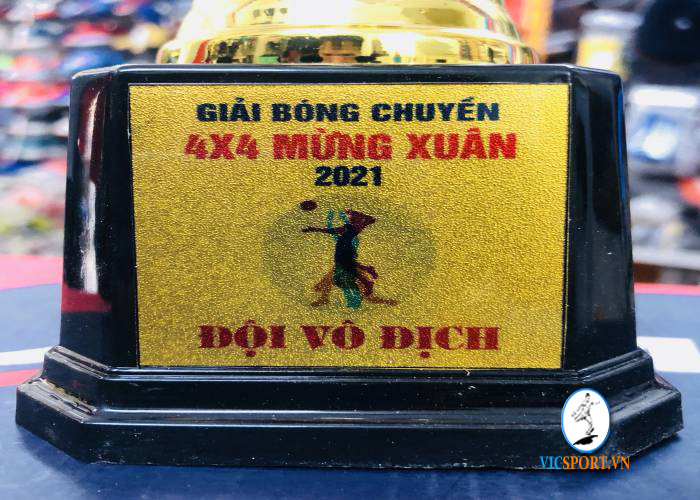 BỘ CỜ - CÚP - HUY CHƯƠNG GIẢI BÓNG CHUYỀN XUÂN 2021 - Hình ảnh 2