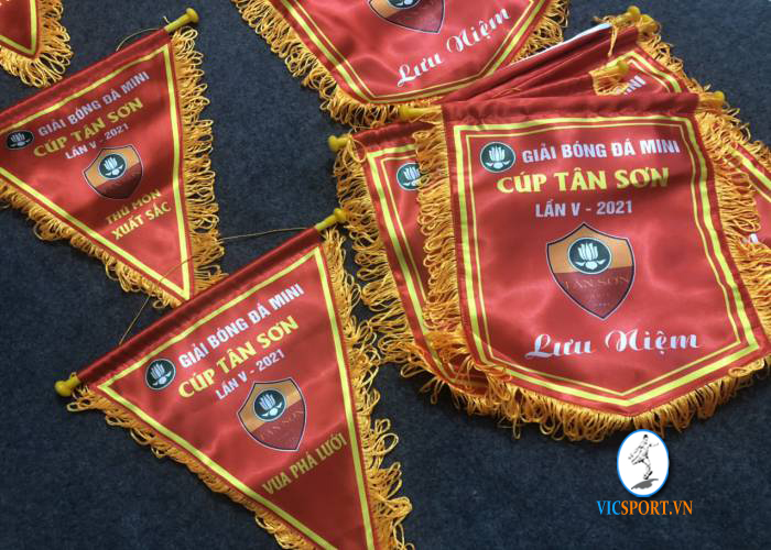 CỜ CÚP TÂN SƠN LẦN V - NĂM 2021 - Hình ảnh 2
