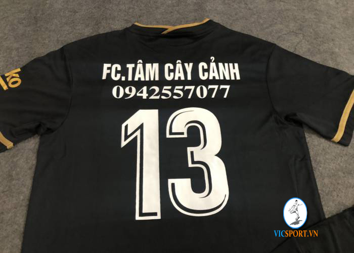 FC TÂM CÂY CẢNH - BÌNH THUẬN - Hình ảnh 2