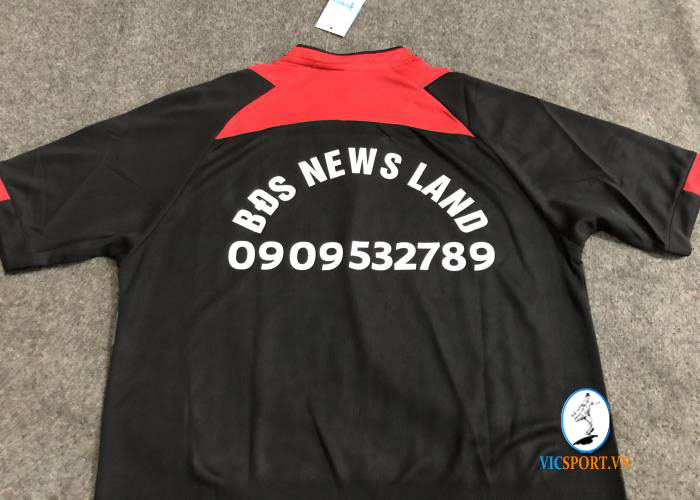 BĐS NEWS LAND - VICTORY S8 - Hình ảnh 3