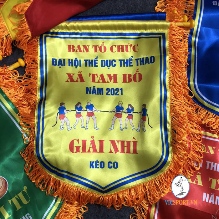 CỜ GIẢI XÃ BỐ LÁ - DI LINH - Hình ảnh 8