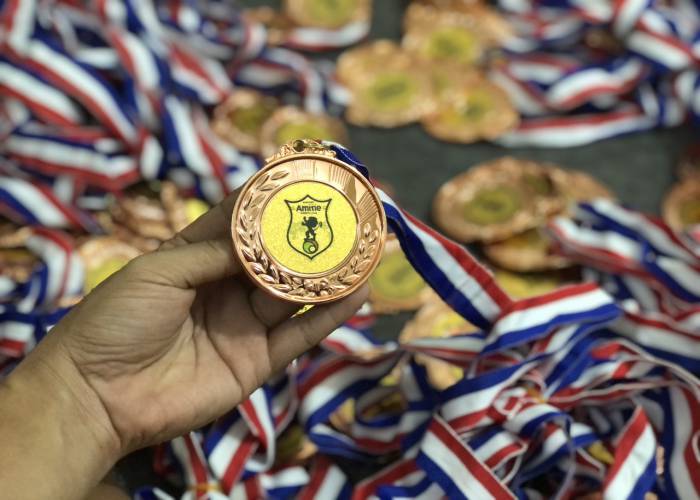 HUY CHƯƠNG GIẢI AMITE LẦN 14 NĂM 2021 - Hình ảnh 2