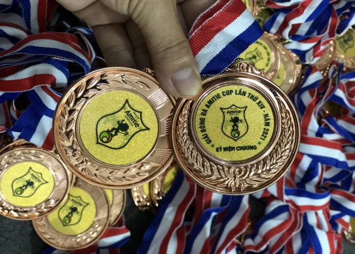 HUY CHƯƠNG GIẢI AMITE LẦN 14 NĂM 2021 - Hình ảnh 9