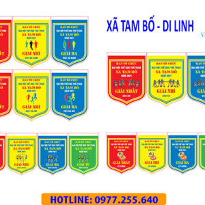 CỜ GIẢI XÃ BỐ LÁ - DI LINH