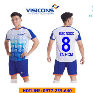 VISICONS - HCM