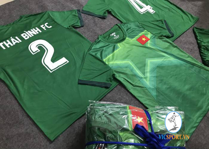 THÁI BÌNH FC - Hình ảnh 3