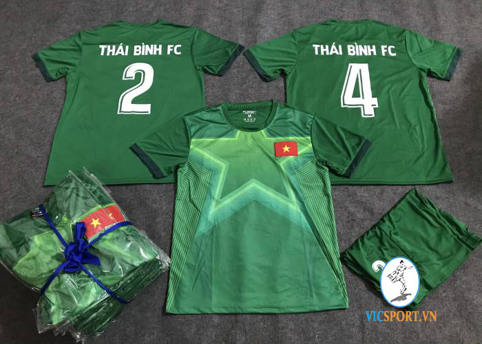 THÁI BÌNH FC - Hình ảnh 6