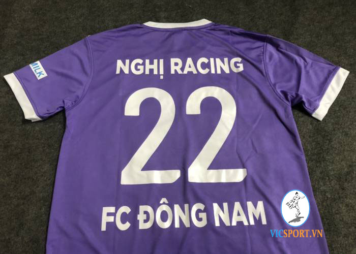 FC ĐÔNG NAM - VINAMILK - Hình ảnh 2
