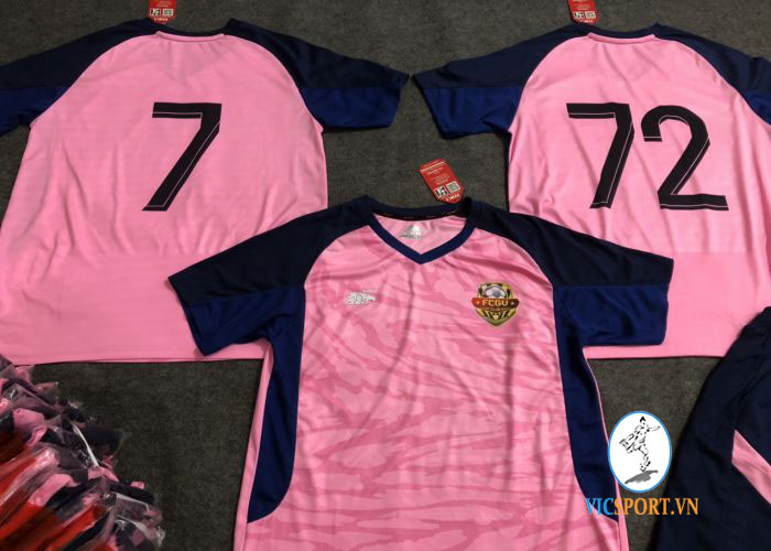FC GV TẠI BRVT - Hình ảnh 3