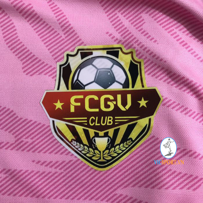 FC GV TẠI BRVT - Hình ảnh 2
