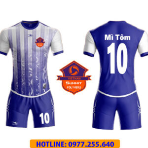 VIETNAM SUMMIT POLYMERS - Nhơn Trạch