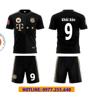 TỈNH DÒNG ĐA MINH VIỆT NAM