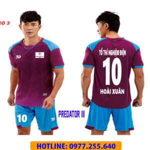 EVN TUY PHONG - BÌNH THUẬN