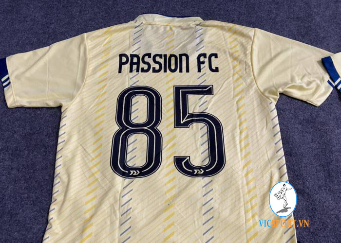 PASSION FC - Hình ảnh 2