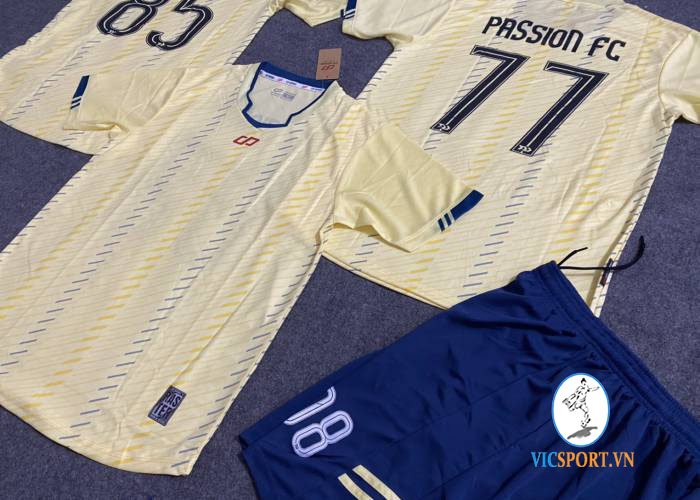 PASSION FC - Hình ảnh 6
