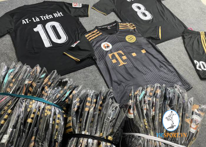 TỈNH DÒNG ĐA MINH VIỆT NAM - Hình ảnh 4